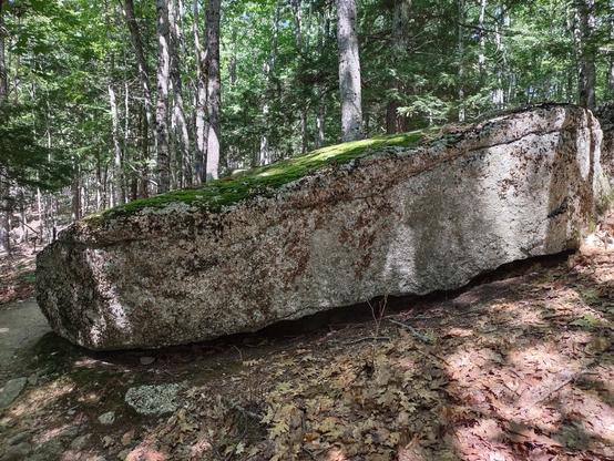 A huge slab of stone, about 3 feet tall, 12 feet long, and 6 feet across, sitting on a wooded mountainside. Its top is almost completely flat and has a carpet of bright green moss. Its sides are decorated with various lichens.